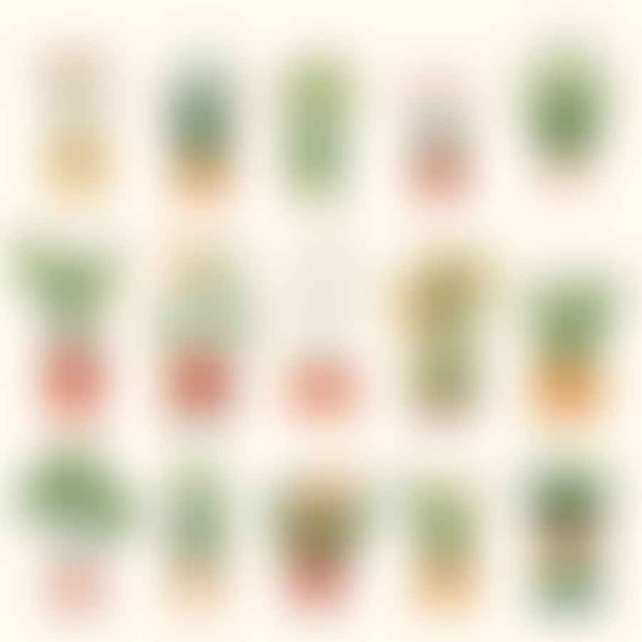 Various types of plant containers