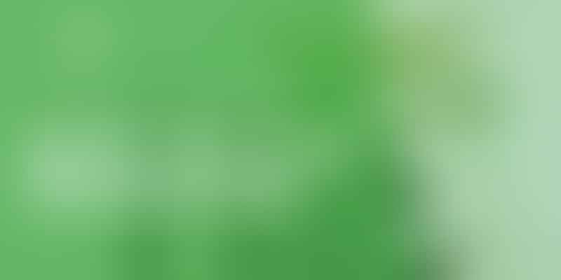Master the Art of Dracaena Care - 🌿 Green Thumbs Unite
