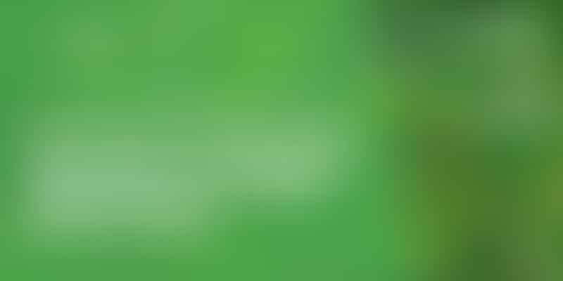 Perennial vs Annual: Unveiling the Plant Differences - 🌱 Understand the Contrast