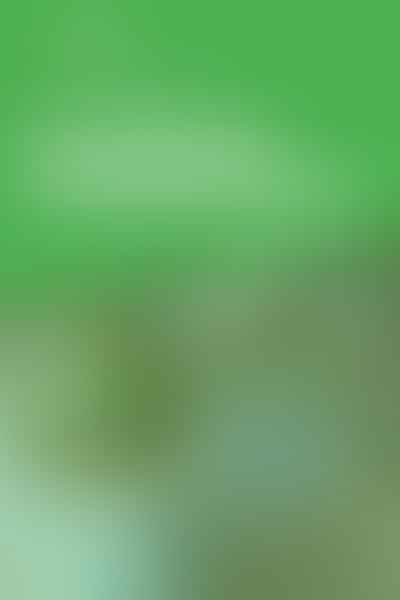 Unveiling the Sunlight Mystery - 🌱 Shedding Light