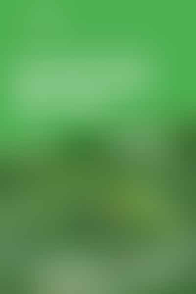 Perennial Garden Plant Placement: Expert Tips - 🌿 Perfect Plant Arrangement
