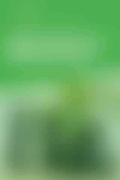 Master the Art of Dracaena Care - 🌿 Green Thumbs Unite