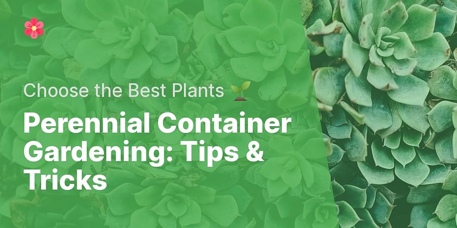 Perennial Container Gardening: Tips & Tricks - Choose the Best Plants π±
