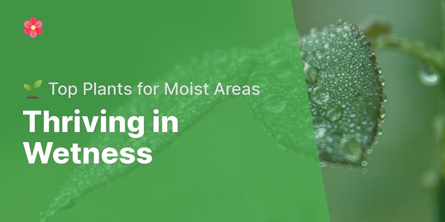 Thriving in Wetness - π± Top Plants for Moist Areas
