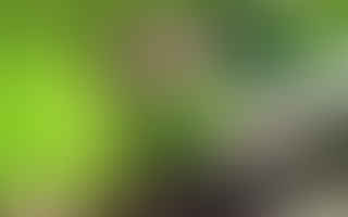 Are all plants perennials if they are in the proper conditions?