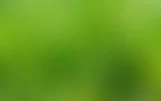What is the life cycle of a perennial plant propagated by seeds?