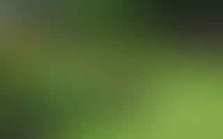 Why do we have annual and perennial plants?